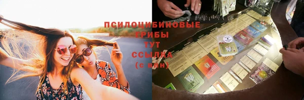 мдпв Иннополис