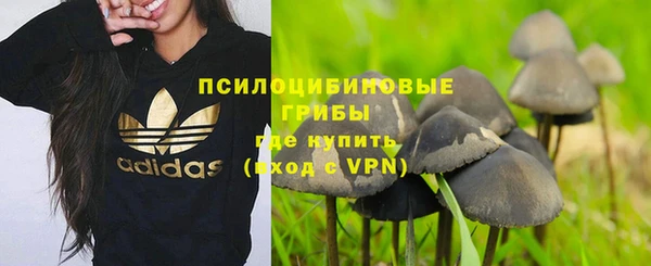 кокс Инсар