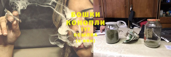 кокс Инсар