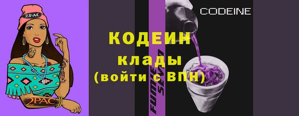 мдпв Иннополис