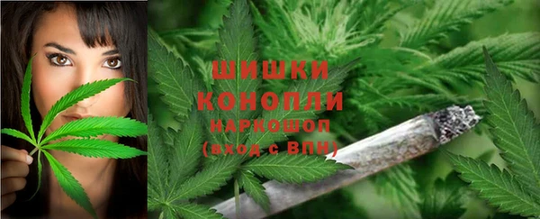 мдпв Иннополис