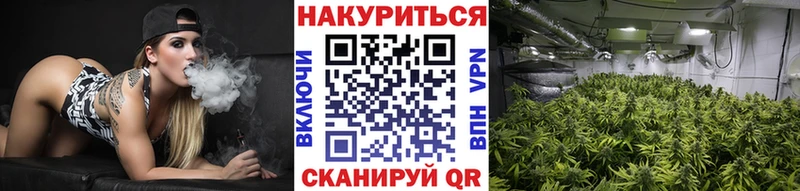 Бошки Шишки AK-47  Электрогорск 